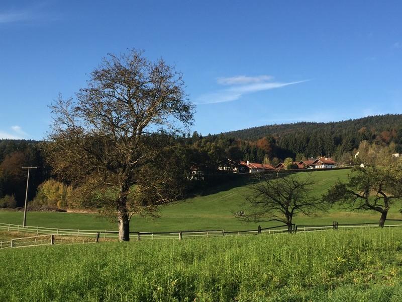 Ferienwohnung Hauzenberg Blick Zewnętrze zdjęcie